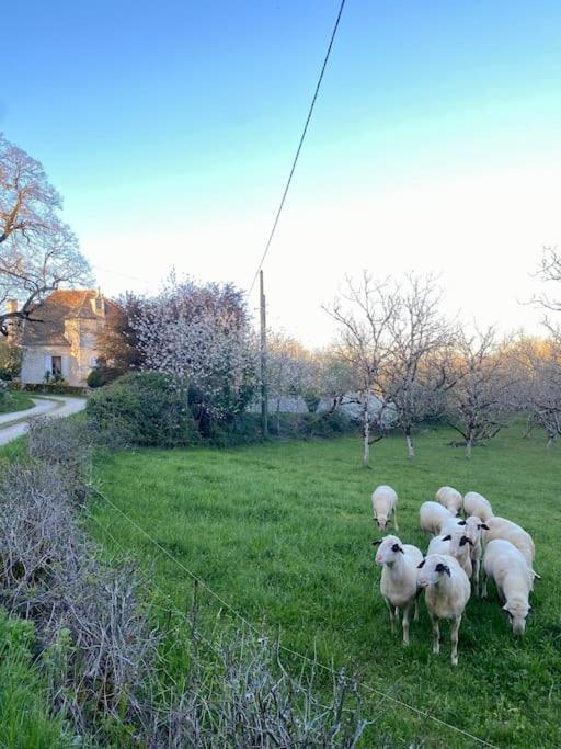La Grangette De Paunac Cazillac Buitenkant foto
